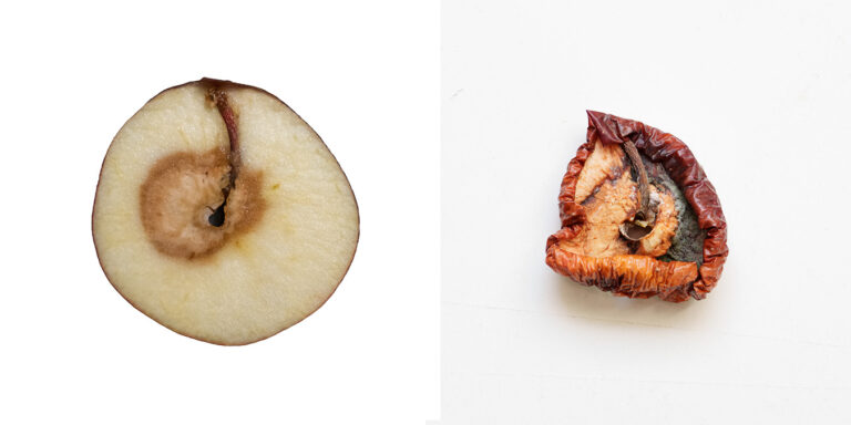 Diptych: a halved apple with its core exposed beside the same half dried and darkened