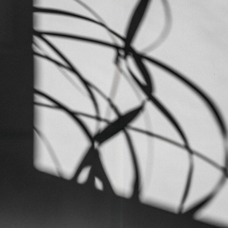 Looping shadow of a plant structure on a wall in Berlin, black and white