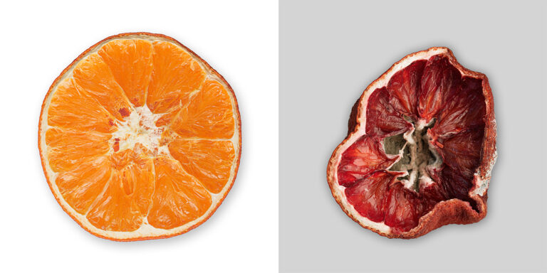 Diptych: a fresh orange slice beside the same slice dried to a dark red disc
