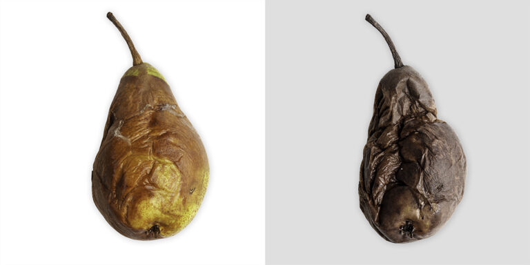 Diptych: a browning pear beside the same pear dried to a dark, folded form