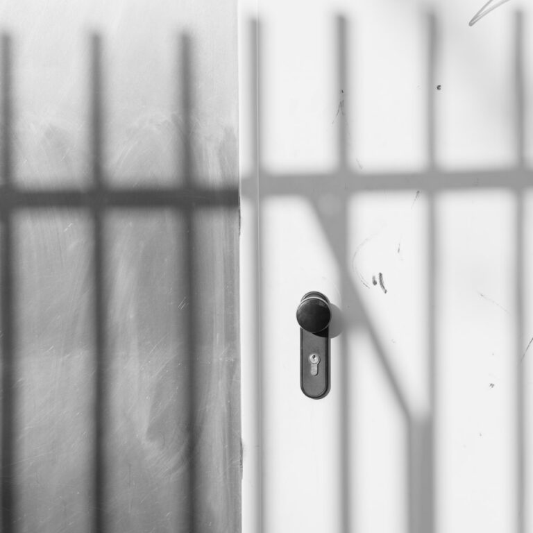 Shadows of window bars falling across a pale door and its handle