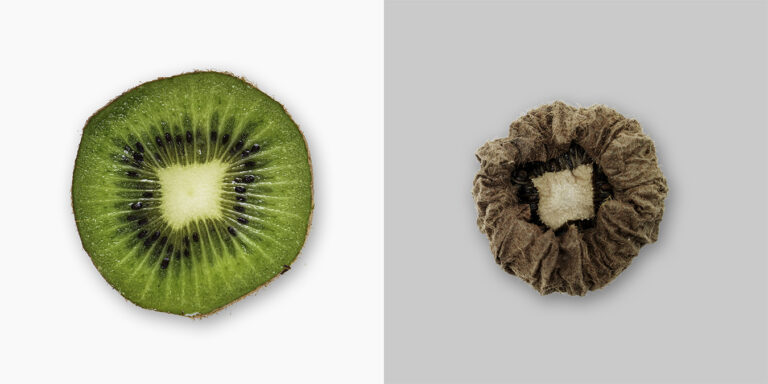 Diptych: a green kiwi slice beside the same slice dried to a grey-brown disc